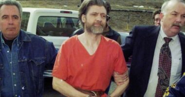 CEO ‘assassin’ Luigi Mangione praised Unabomber & wrote ‘violence is necessary’ months before ‘killing’ Brian Thompson