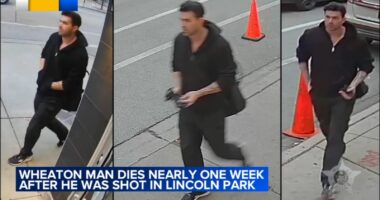 CPD releases video of person of interest in deadly Chicago shooting of Alexander Nesteruk of Wheaton on Clark in Lincoln Park