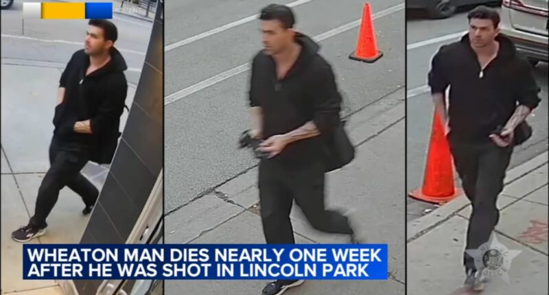 CPD releases video of person of interest in deadly Chicago shooting of Alexander Nesteruk of Wheaton on Clark in Lincoln Park