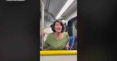 Caught on video: Woman hurls racist insults toward family on United shuttle bus at LAX