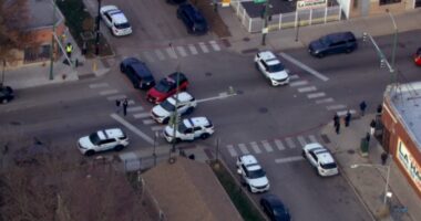 Chicago Lawn shooting: 6 shot, 2 fatally, on West 59th Street, CFD says