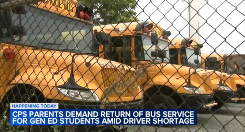 Chicago Public Schools parents calling for restoration of CPS bus service