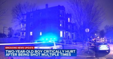 Chicago shooting: 17-year-old suspect charged in connection to shooting injury of 2-year-old boy in Lawndale near 14th, Avers: CPD