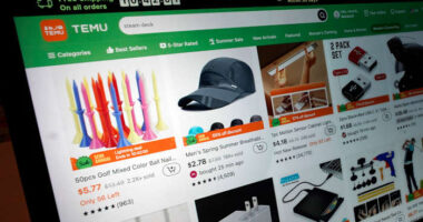 Chinese online retailer Temu suspended in Vietnam