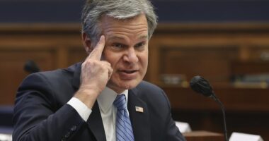 Christopher Wray Is Reportedly Preparing a Nasty Surprise for Donald Trump and Kash Patel