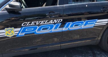 Cleveland police: 'Juvenile' car break-in suspect treated and released from hospital after being shot by officer