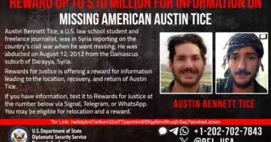 Collapse of Syria’s Assad regime renews US push to find Austin Tice