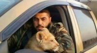 Cruel member of Syria’s sinister Tiger Forces who fed Assad’s prisoners to his pet LION ‘is publicly executed by rebels’