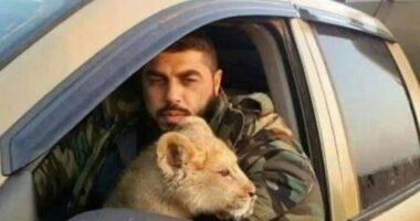 Cruel member of Syria’s sinister Tiger Forces who fed Assad’s prisoners to his pet LION ‘is publicly executed by rebels’