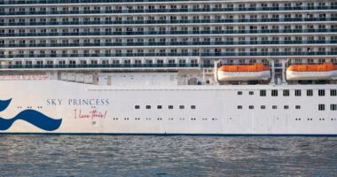 Cruise ship horror as passenger, 48, dies trying to jump from Sky Princess vessel as it was heading back to Florida