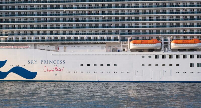 Cruise ship horror as passenger, 48, dies trying to jump from Sky Princess vessel as it was heading back to Florida