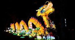 🐉Culture, conservation and celebration through Asian Lantern Fest at the Central Florida Zoo