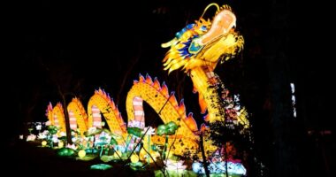 🐉Culture, conservation and celebration through Asian Lantern Fest at the Central Florida Zoo