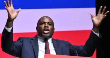 DAN HODGES: From Blairite centrist to social justice warrior, how David Lammy has changed his political persona over the years - and now has a budding bromance with Trump's VP