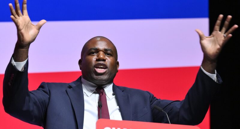 DAN HODGES: From Blairite centrist to social justice warrior, how David Lammy has changed his political persona over the years - and now has a budding bromance with Trump's VP