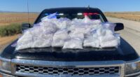 DEA: Colorado breaks yearly record for fentanyl seizures with one month left in 2024