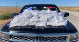 DEA: Colorado breaks yearly record for fentanyl seizures with one month left in 2024