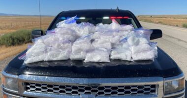 DEA: Colorado breaks yearly record for fentanyl seizures with one month left in 2024