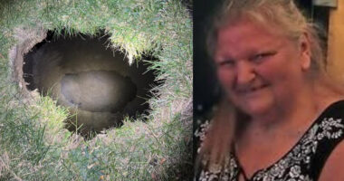 DEVELOPING: Missing Grandmom Possibly Fell in 30-Foot Sinkhole While Searching for Cat