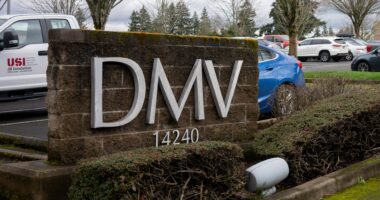 DMV forced to apologize over vile license plate mocking terrorist attack as it’s blasted for ‘allowing hate speech’