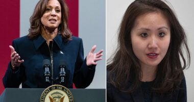 DNC fundraiser delivers stunning blow to Kamala Harris and 'delusional' Democrats