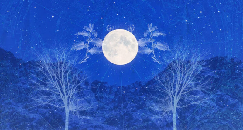 December's full cold moon: What it means for your zodiac sign