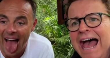 Declan Donnelly receives urgent medical attention after being bitten by a spider in the Australian jungle while hosting I'm A Celebrity... Get Me Out Of Here!