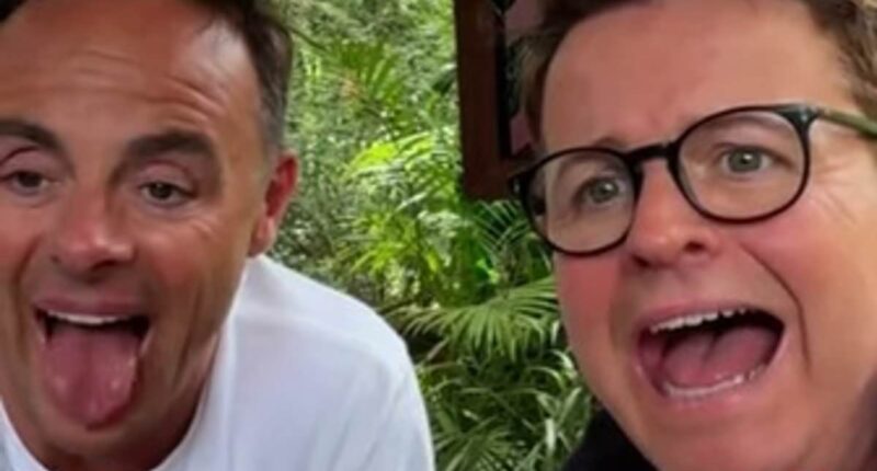 Declan Donnelly receives urgent medical attention after being bitten by a spider in the Australian jungle while hosting I'm A Celebrity... Get Me Out Of Here!