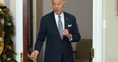 Dems rip Biden for fumbling main priority in final weeks as Trump steals the spotlight on world stage: 'The lamest of lame ducks'