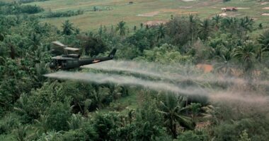 Devastating truth behind Agent Orange – the most savage war weapon EVER – laid bare from melting skin to birth defects