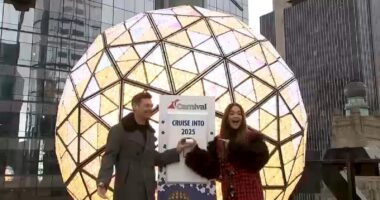 Dick Clark's New Year's Rockin' Eve co-hosts Ryan Seacrest and Rita Ora have what to expect from this year's show