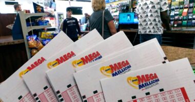 Did anyone win the $695M Mega Millions jackpot?