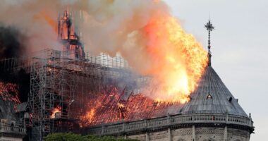 Donald Trump to meet Prince William in Paris ahead of Notre Dame reopening ceremony for talks on ‘special relationship’