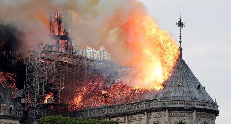 Donald Trump to meet Prince William in Paris ahead of Notre Dame reopening ceremony for talks on ‘special relationship’