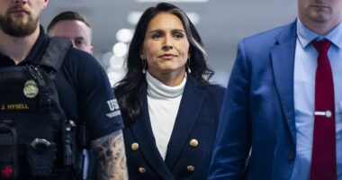 Donald Trump's Cabinet pick Tulsi Gabbard won't answer whether Assad is a war criminal after cozy 2017 meeting