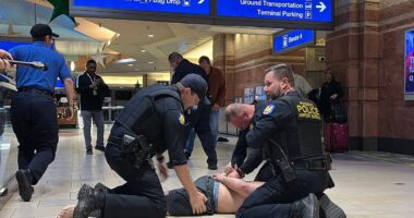 Dramatic moment armed vigilante is arrested at Phoenix Airport after shooting that left several injured