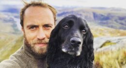 EDEN CONFIDENTIAL: James Middleton's dog food firm Hello Ella is given £500,000 boost by 'impressed' pet tycoon