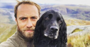 EDEN CONFIDENTIAL: James Middleton's dog food firm Hello Ella is given £500,000 boost by 'impressed' pet tycoon