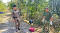 Elephant tramples mum, 49, to death while she tried to run away in horror attack at national park in Thailand