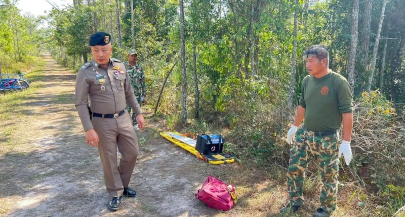 Elephant tramples mum, 49, to death while she tried to run away in horror attack at national park in Thailand