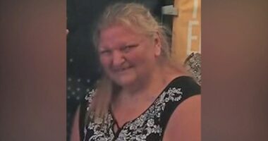 Elizabeth Pollard missing: Rescuers reassess safety of search for Pennsylvania grandmother who may have fallen into sinkhole