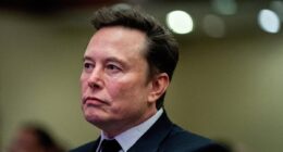 Elon Musk accused of censorship as H1B migrant controversy deepens