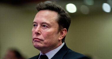 Elon Musk accused of censorship as H1B migrant controversy deepens