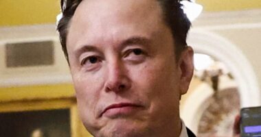 Elon Musk slams Justin Trudeau after prime minister calls Trump's victory a setback for women's progress