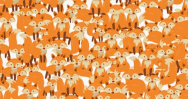 Everyone can see the foxes in this brainteaser but you have 20/20 vision if you spot the sneaky cat in less than 7secs