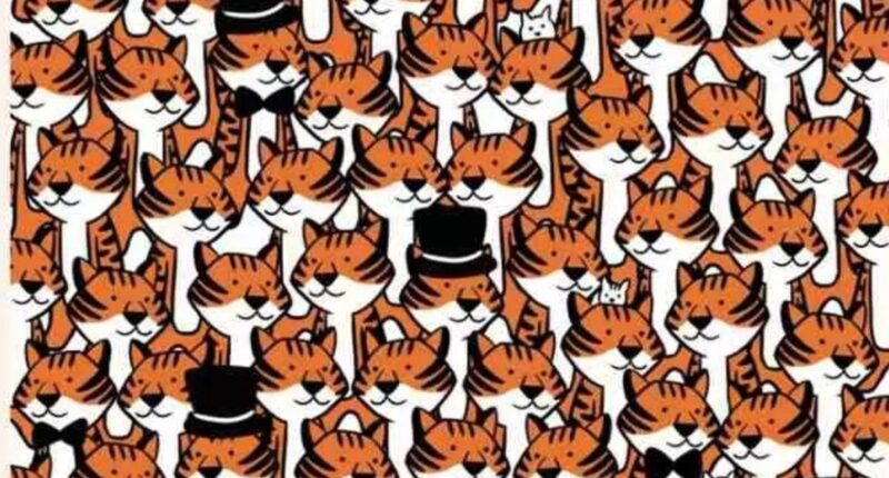 Everyone can see the tigers – but you have the eyes of a hawk & high IQ if you can spot all the cats in 12 seconds