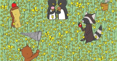 Everyone can see the woodland animals – but you have a high IQ & 20/20 vision if you can spot the bee in 8 seconds