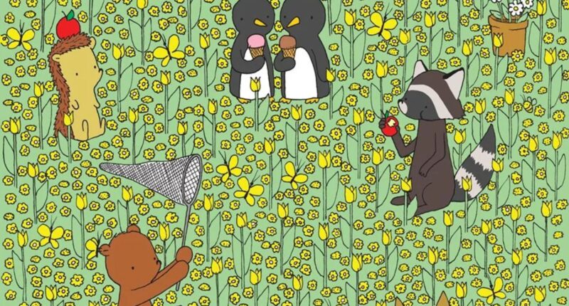 Everyone can see the woodland animals – but you have a high IQ & 20/20 vision if you can spot the bee in 8 seconds