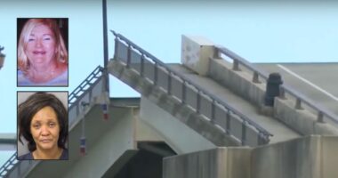 Ex-bridge operator violates probation in drawbridge death