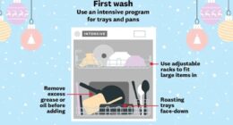 Experts reveal how to load your dishwasher this Christmas - and say the key is sticking a wash on BEFORE you sit down to eat your dinner